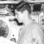 David Kauppinen - Dolphins